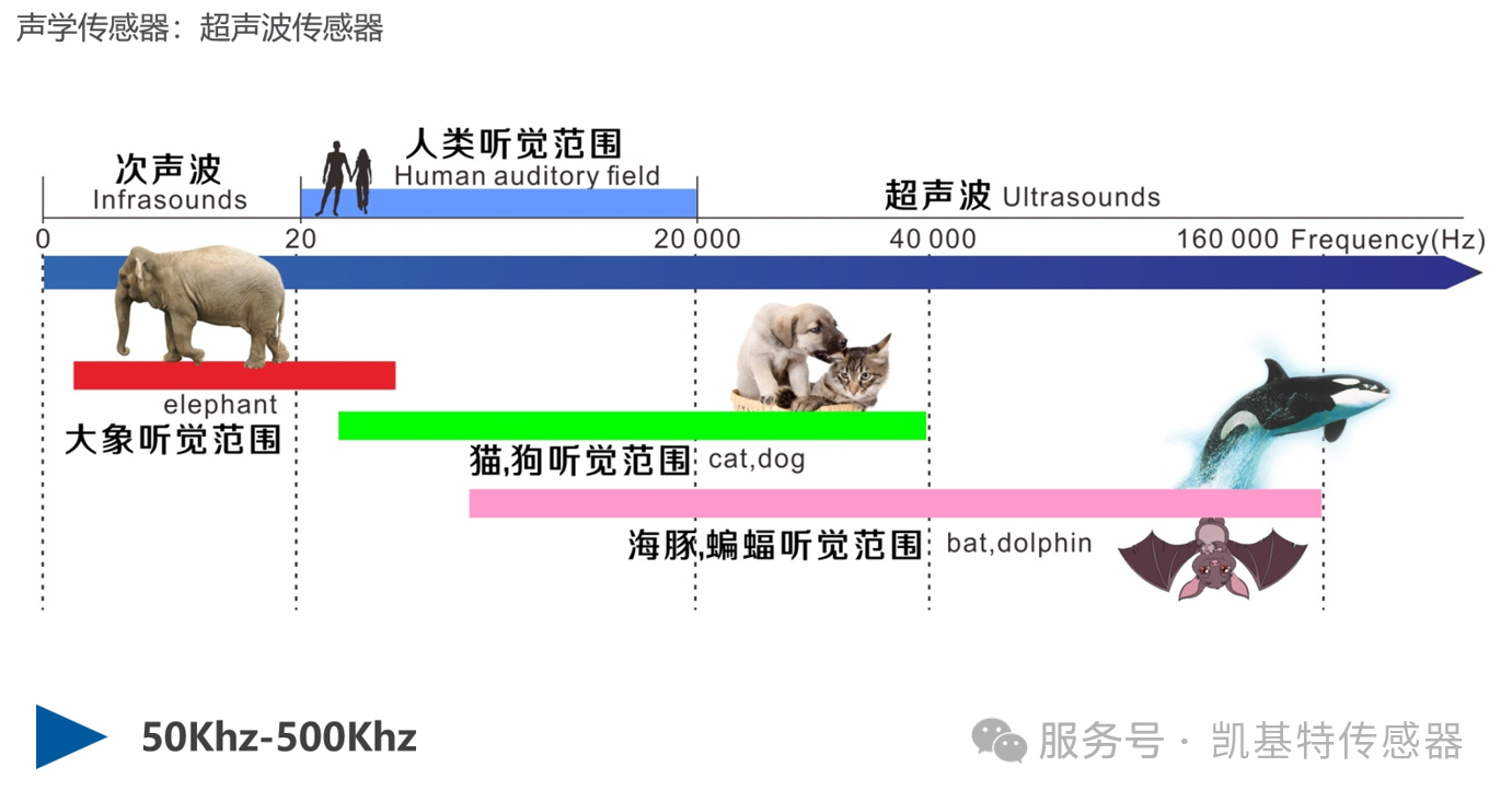 凯基特科普 | 超声波必威app登录官网下载安装苹果手机的工作原理与应用 凯基特科普 | 超声波必威app登录官网下载安装苹果手机的工作原理与应用