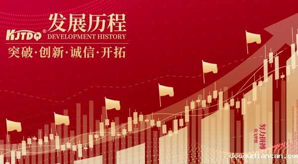 公司历程