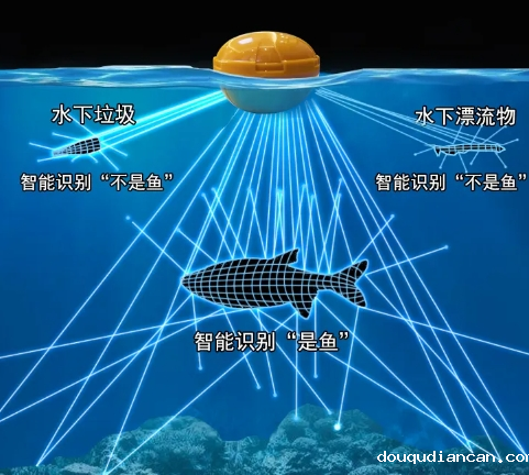 超声波探头的工作原理和应用